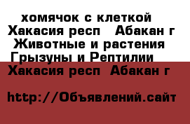 хомячок с клеткой - Хакасия респ., Абакан г. Животные и растения » Грызуны и Рептилии   . Хакасия респ.,Абакан г.